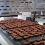 Food Equipment Automatic Cake depanner Machine for Cupcake Machine Bakery