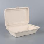 Disposable Food Container Biodegradable Take Away Box Storage Boxes & 100%