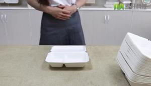 Wholesale 500-650-800-1000ml Biodegradable Disposable Sugarcane Bagasse Lunch Box with lid from china suppliers