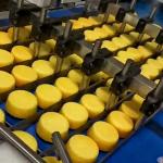 Food Machinery Depositor Machine food filling injection equipment for cup cake