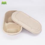 Clamshell Biodegradable Food Container , Eco Friendly Disposable Takeaway