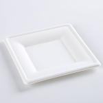 Disposable Dinnerware Set, Compostable Plant Based Cutlery Eco-Friendly