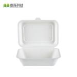 9" x 9" Hamburger food packaging disposable hinged container