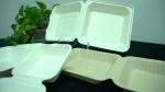 Take Out Food Sugarcane Packaging Shipping Box Biodegradable Clamshell 3