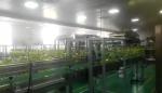 Stable Performance Various Liquid Oil Filling Machine Flexible Configuration
