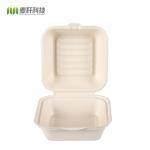 Contenedor Fibra envases Biodegradable Disposable Sugarcane Bagasse Paper Bamboo