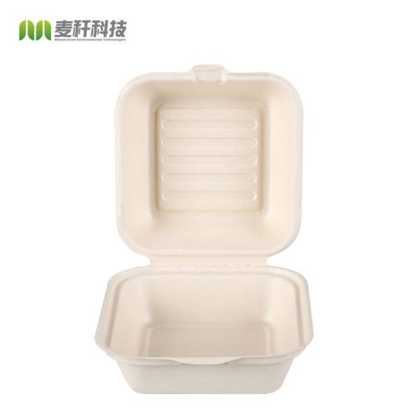 Contenedor Fibra envases Biodegradable Disposable Sugarcane Bagasse Paper Bamboo