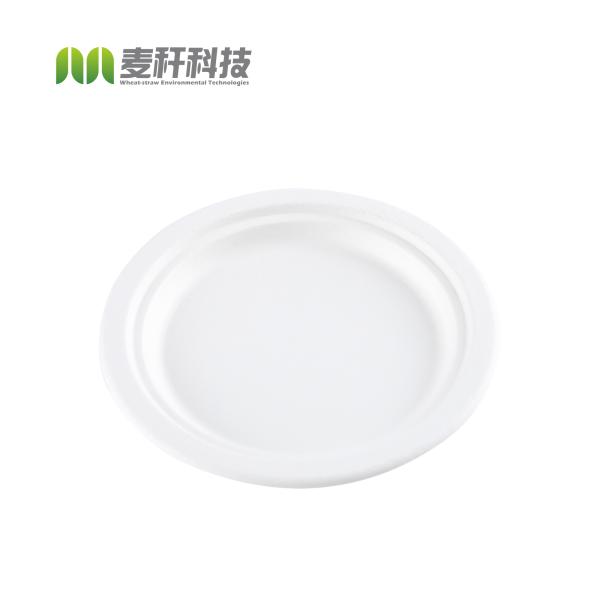 Eco-friendly Biodegradable Baggasse RoundCake Disposable Steak Round Dessert
