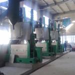 Oil Extraction Machine Walnut, Moringa Press Oil Machine Price Oil Expeller