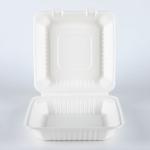 Sugarcane Bagasse Fiber Food Packaging Box 5 - 9inch Size LFGB Tested