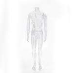 Hot sale plastic full body male Transparent headless mannequin for clothes