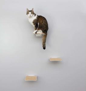 Wholesale Offering Small Animals the Opportunity to Climb and Observe Black Powder Coated Design from china suppliers