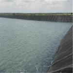 Sample Freely Smooth Surface 0.3mm-1.5mm Double Colors HDPE Geomembrane for Fish