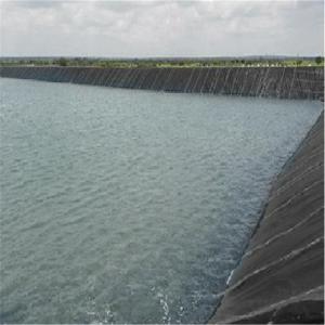 Wholesale Sample Freely Smooth Surface 0.3mm-1.5mm Double Colors HDPE Geomembrane for Fish Pond from china suppliers