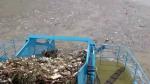 3.5m length, 55KW ,1500m3,Aquatic Weed Harveting Boat With Storage Tipper Body
