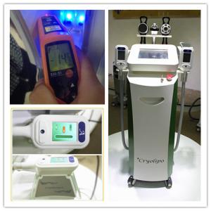 Wholesale Vertical Cryolipolysis Body Slimming Machine / Fat Freezing Cellulite Removal Machine from china suppliers