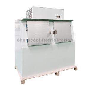 China 110V 60Hz Outdoor Cold Wall Ice Merchandiser Bagged Ice Storage Freezer on sale