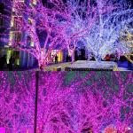 20m Solar Powered Waterproof LED Christmas String Lights For Party Wedding