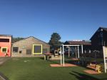 7800 Detex Garden Artificial Grass Carpet 45mm For Landscaping
