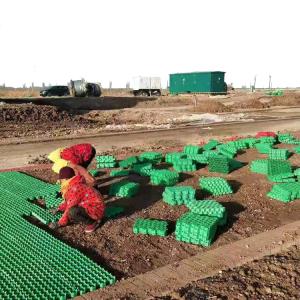 Wholesale 500mm Length Grass Grid Pavers for Parking and Garden Eco-Friendly HDPE Material from china suppliers
