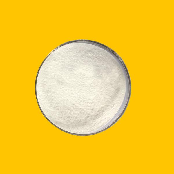 maltase glucoamylase baking industry enzymes 100000SKB providing enzyme