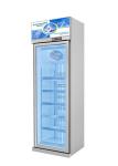 Cold Chian Glass Door Freezer Display Cabinet Electronic Thermostat Control