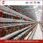 Automatic Chicken Cage Equipment A Frame 4 Tier Layer Cage System Doris Shi