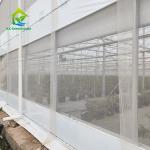 Tropical Multi Span Polytunnel Plastic Film Berry Greenhouse With Hydroponic