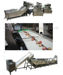 Wholesale Stainless Steel 304 Dried Fruit Processing Equipment ISO9001 Certification from china suppliers