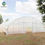 Single Span Tunnel Steel Frame Greenhouse With Plastic Covering