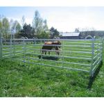 10-200m Length Galvanized Deer Fence for Farm and Field Kraal Pressure Treated