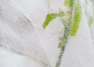 Wholesale Anti UV Agricultural Recyclable PP Non Woven Fabric For Weed Control / Landscape from china suppliers