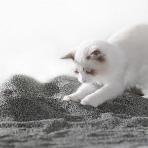 Wholesale Easy Scooping Ore Cat Litter Grey Dustless Kitty Litter Natural Materials from china suppliers