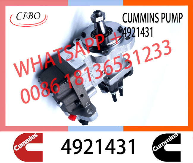 PT QSL8.9 QSL9 diesel engine fuel injection pump 4954200 2897500 4954200 4921431 For Cummins PT series