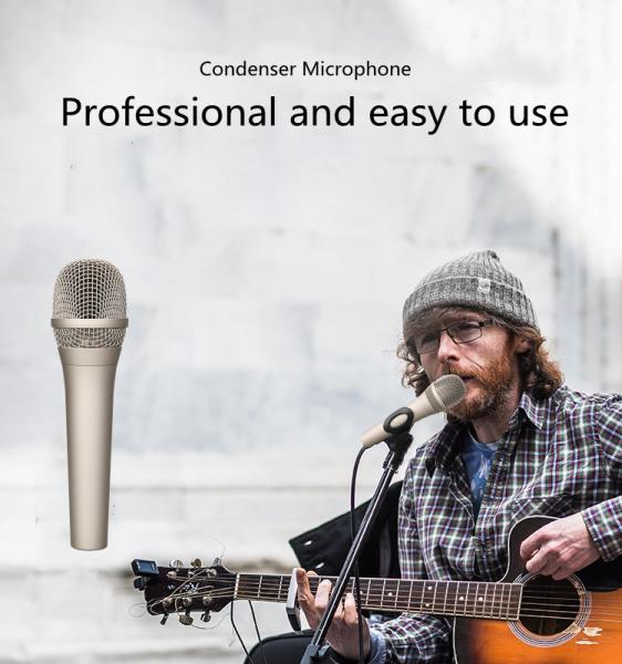 Studio Condenser Microphone For Live Recording microphone , Online singing