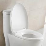 MAP1000 Chair Height One Piece Skirted Toilets With Concealed Trapways Siphon