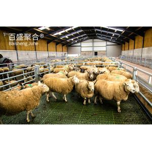 Wholesale Aluminum Alloy Window Prefab Animal Shed Steel Structure for Sheep and Goat Farming from china suppliers