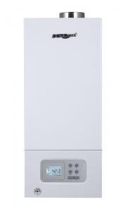 Wholesale Wall Mounted Home Gas Boiler High Reliability Multiple Automatic Protections from china suppliers
