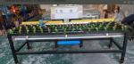Foshan Star Manual Glass Edge Polishing Machine Glass Edging Machine with 2.2kw