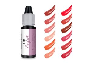 Wholesale ODM Rapid Coloring Semi Permanent Makeup Pigments Eyebrow Cosmetics Ink from china suppliers