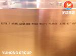 Stainless Steel ASTM A182 F310 Weldneck Flange RTJ For Oil And Gas