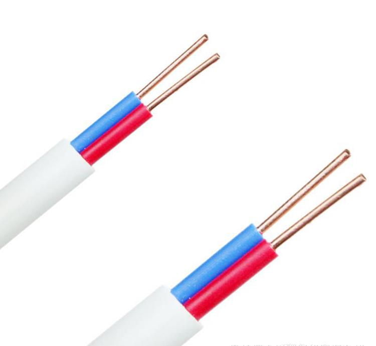 JB/T8734.2012 1.5 Square 2-Core Power Plug Cable Wire Soft Cover Flexible Wire Copper Household