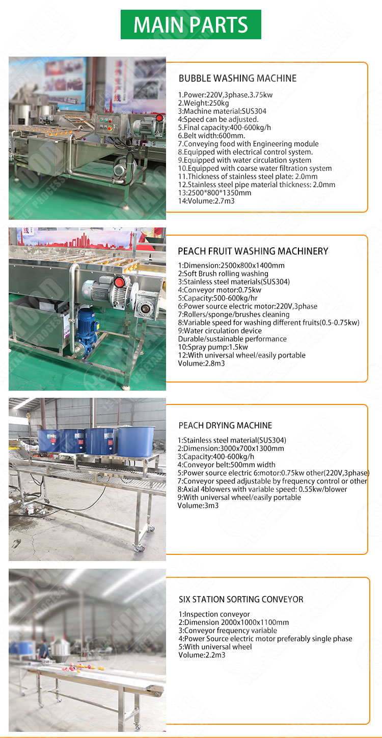 Orange Peach Washing Machine Fruit Cleaner Fruit And Vegetable Drying Line