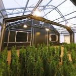 Light Deprivation Plastic Agriculture Blackout Single Span Greenhouse For