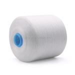 OEM 40/2 20/3 30/3 100% Spun Polyester Yarn with Chemical Resistance and Raw
