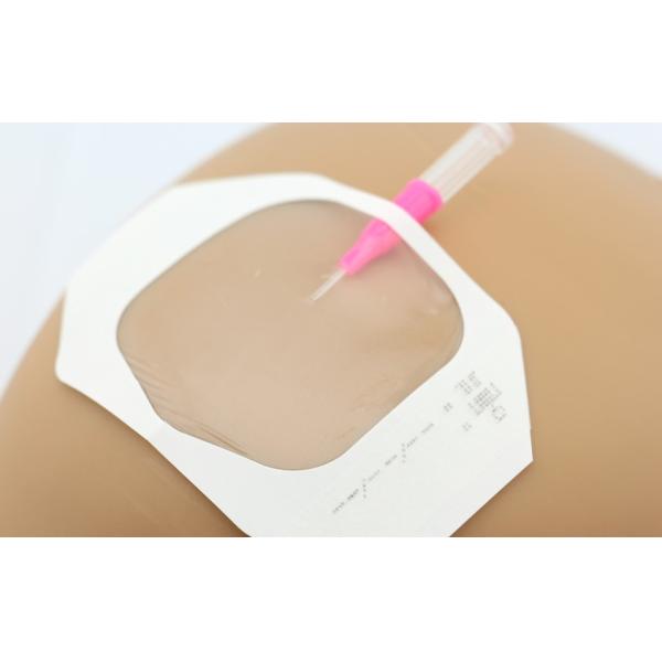 Transparent iv cannula dressing