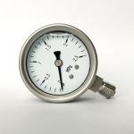 SS 316 2.5 MPa Glycol Filled Pressure Gauge 16 Bar NPT Radial Connection