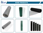 Direct Great Standard 4 Gage Welded Mesh Roll with Corrosion Resistance