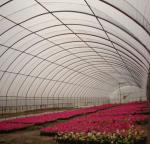 Double-Arch Pepper and Flower Hydroponic Greenhouse with Multi Span Roofing