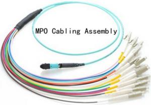 MTP/MPO Fiber Optic Harness Fan-out/Breakout Cable simplex/duplex singlemode multimode